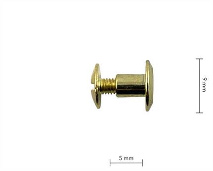 SCREW CHICAGO BEVELLED HEAD GILT 5mm Stem 9mm Diameter