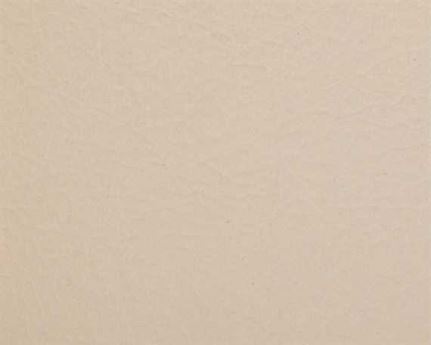 ASHFORD ALMOND AUTOMOTIVE LEATHER FULL HIDE