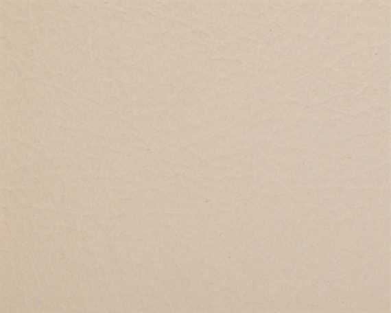 ASHFORD ALMOND AUTOMOTIVE LEATHER FULL HIDE