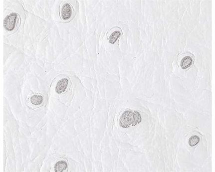 EUROLEDER OSTRICH PRINT WHITE UPHOLSTERY LEATHER FULL COW HIDE