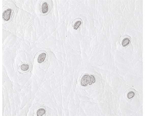 EUROLEDER OSTRICH PRINT WHITE UPHOLSTERY LEATHER FULL COW HIDE