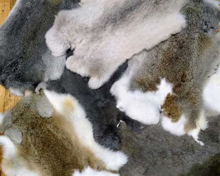 FUR HIDE SMALL (RABBIT)