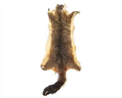 POSSUM NZ HIDE MEDIUM SIZE PALE