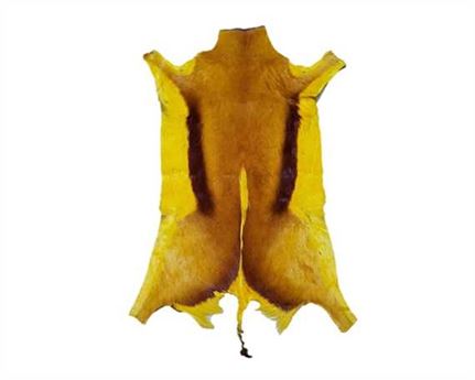 HAIR ON SPRINGBOK YELLOW DYED LARGE PER HIDE