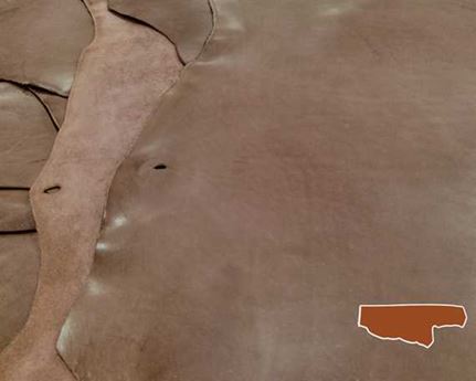  HALF BELLY VEG LEATHER NEVADA DARK BROWN COLOUR 1.8/2.0MM FROM TUSCANY ITALIAN