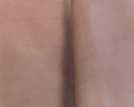 WAXY WHISKY UPPER (SMOOTH, NO PRINT) 2.0MM TAN NEW ZEALAND LEATHER