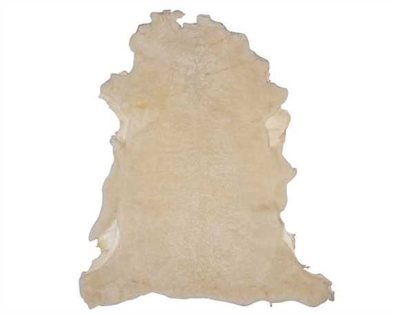 SHEEP CLIP 16MM IVORY