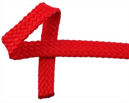 WEBBING DOG LEAD RED 10MM (PER L/MTR)