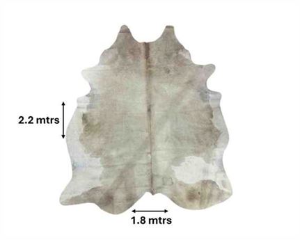  COWHIDE RUG CHAMPAGNE LARGE (rug pictured sent) Free Delivery!