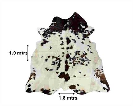  COWHIDE RUG TRI COLOUR small (rug pictured sent) Free Delivery!