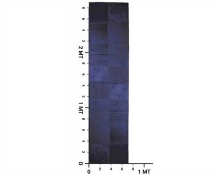 KACHITA COWHIDE PATCHWORK RUG BLACK COLOUR SIZE 3.0MT X 0.75MT